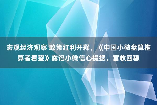 宏观经济观察 政策红利开释，《中国小微盘算推算者看望》露馅小微信心提振，营收回稳