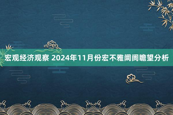 宏观经济观察 2024年11月份宏不雅阛阓瞻望分析