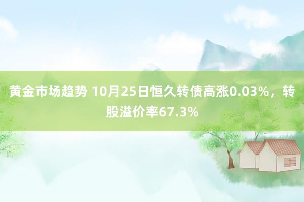 黄金市场趋势 10月25日恒久转债高涨0.03%，转股溢价率67.3%