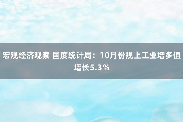 宏观经济观察 国度统计局：10月份规上工业增多值增长5.3％