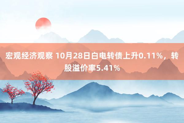 宏观经济观察 10月28日白电转债上升0.11%，转股溢价率5.41%