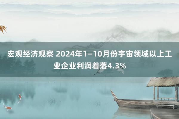 宏观经济观察 2024年1—10月份宇宙领域以上工业企业利润着落4.3%