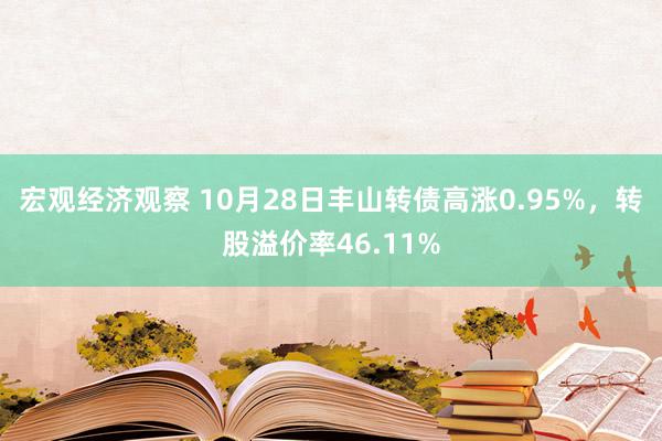 宏观经济观察 10月28日丰山转债高涨0.95%，转股溢价率46.11%