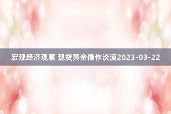 宏观经济观察 现货黄金操作淡漠2023-03-22