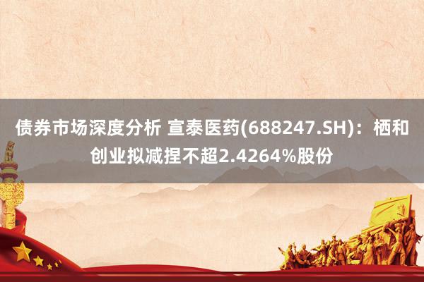 债券市场深度分析 宣泰医药(688247.SH)：栖和创业拟减捏不超2.4264%股份