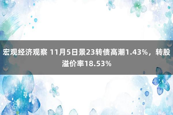 宏观经济观察 11月5日景23转债高潮1.43%，转股溢价率18.53%