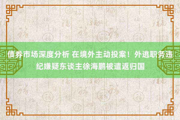 债券市场深度分析 在境外主动投案！外逃职务违纪嫌疑东谈主徐海鹏被遣返归国