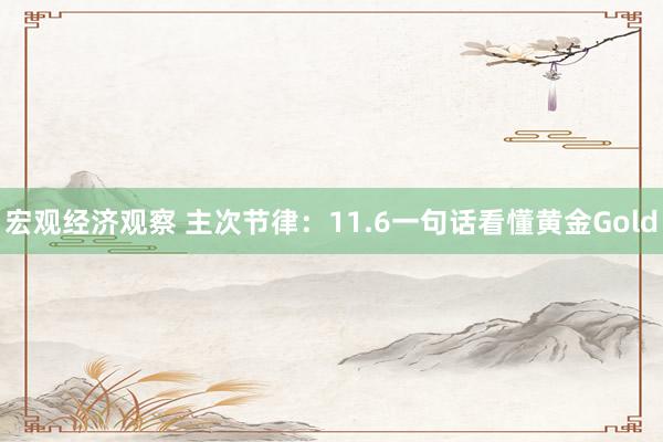 宏观经济观察 主次节律：11.6一句话看懂黄金Gold