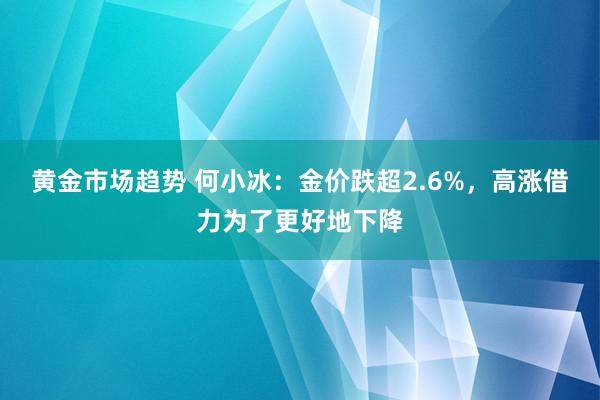 黄金市场趋势 何小冰：金价跌超2.6%，高涨借力为了更好地下降