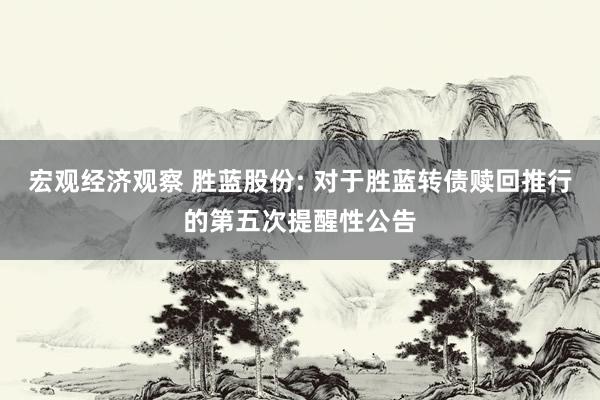 宏观经济观察 胜蓝股份: 对于胜蓝转债赎回推行的第五次提醒性公告