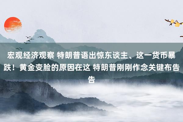 宏观经济观察 特朗普语出惊东谈主、这一货币暴跌！黄金变脸的原因在这 特朗普刚刚作念关键布告