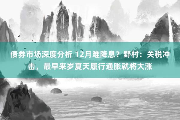 债券市场深度分析 12月难降息？野村：关税冲击，最早来岁夏天履行通胀就将大涨