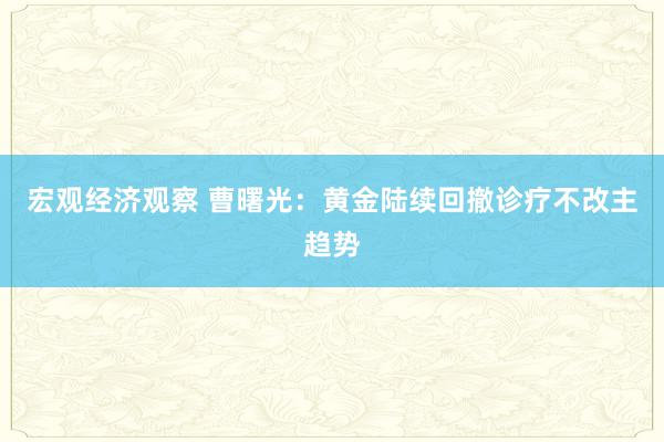 宏观经济观察 曹曙光：黄金陆续回撤诊疗不改主趋势