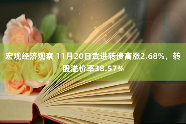 宏观经济观察 11月20日武进转债高涨2.68%，转股溢价率38.57%