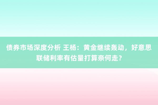 债券市场深度分析 王杨：黄金继续轰动，好意思联储利率有估量打算奈何走？