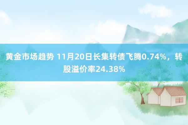 黄金市场趋势 11月20日长集转债飞腾0.74%，转股溢价率24.38%