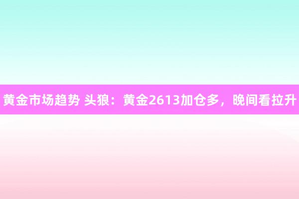 黄金市场趋势 头狼：黄金2613加仓多，晚间看拉升