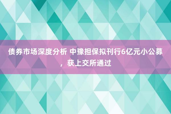 债券市场深度分析 中豫担保拟刊行6亿元小公募，获上交所通过