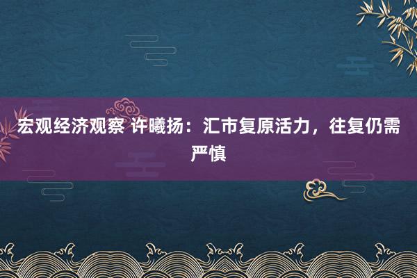 宏观经济观察 许曦扬：汇市复原活力，往复仍需严慎