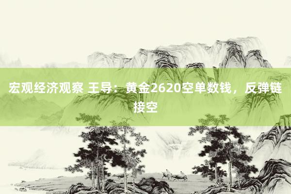 宏观经济观察 王导：黄金2620空单数钱，反弹链接空