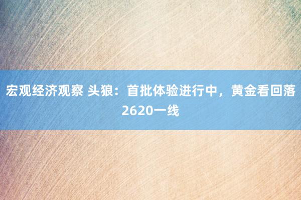 宏观经济观察 头狼：首批体验进行中，黄金看回落2620一线