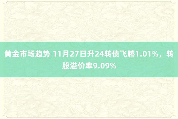 黄金市场趋势 11月27日升24转债飞腾1.01%，转股溢价率9.09%