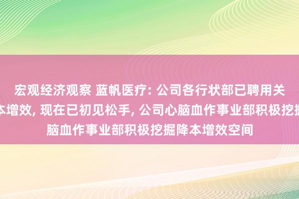 宏观经济观察 蓝帆医疗: 公司各行状部已聘用关联程序进行降本增效, 现在已初见松手, 公司心脑血作事业部积极挖掘降本增效空间