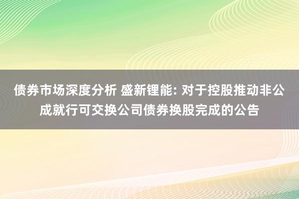 债券市场深度分析 盛新锂能: 对于控股推动非公成就行可交换公司债券换股完成的公告