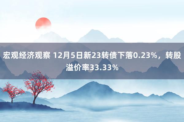 宏观经济观察 12月5日新23转债下落0.23%，转股溢价率33.33%