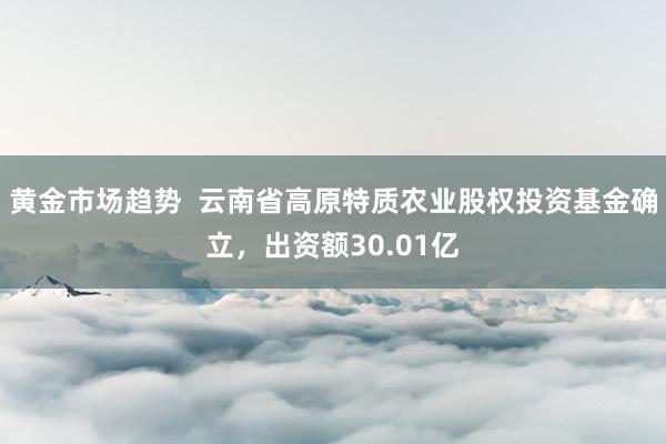 黄金市场趋势  云南省高原特质农业股权投资基金确立，出资额30.01亿