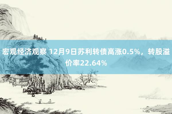 宏观经济观察 12月9日苏利转债高涨0.5%，转股溢价率22.64%