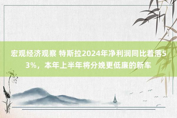 宏观经济观察 特斯拉2024年净利润同比着落53%，本年上半年将分娩更低廉的新车