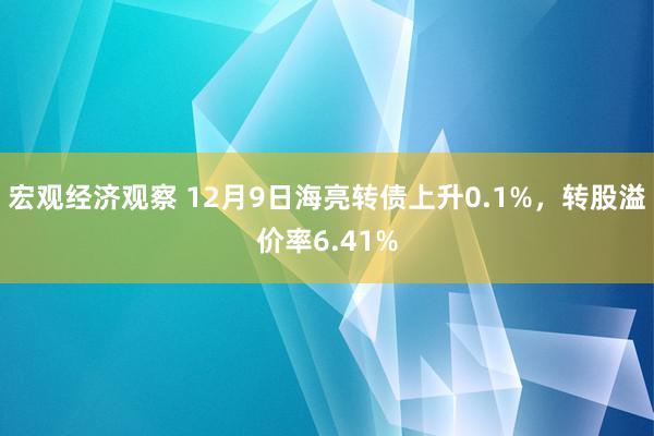 宏观经济观察 12月9日海亮转债上升0.1%，转股溢价率6.41%