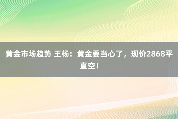 黄金市场趋势 王杨：黄金要当心了，现价2868平直空！