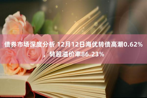 债券市场深度分析 12月12日海优转债高潮0.62%，转股溢价率86.23%