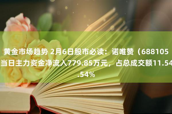 黄金市场趋势 2月6日股市必读：诺唯赞（688105）当日主力资金净流入779.85万元，占总成交额11.54%