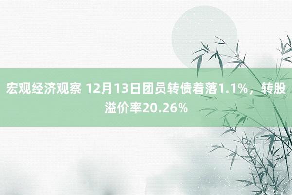 宏观经济观察 12月13日团员转债着落1.1%，转股溢价率20.26%