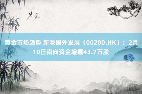 黄金市场趋势 新濠国外发展（00200.HK）：2月10日南向资金增握43.7万股