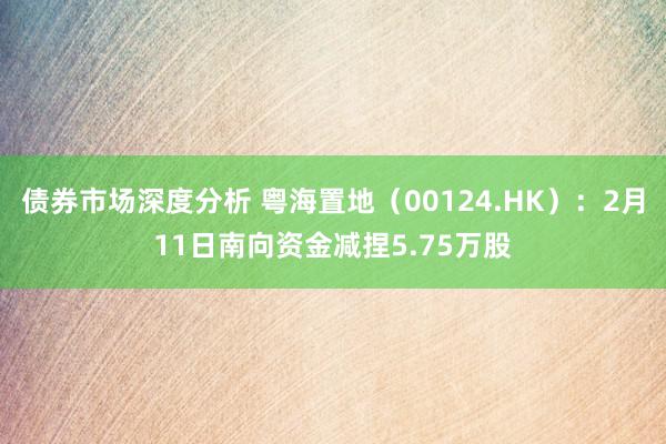 债券市场深度分析 粤海置地（00124.HK）：2月11日南向资金减捏5.75万股