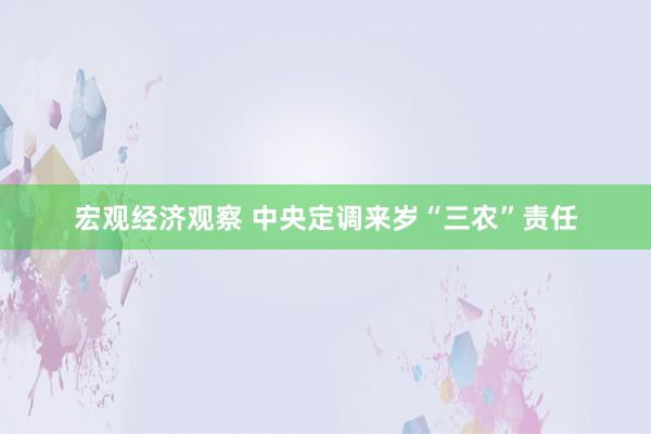 宏观经济观察 中央定调来岁“三农”责任