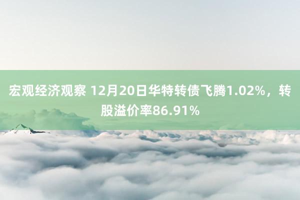 宏观经济观察 12月20日华特转债飞腾1.02%，转股溢价率86.91%