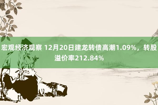 宏观经济观察 12月20日建龙转债高潮1.09%，转股溢价率212.84%