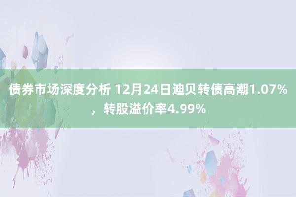 债券市场深度分析 12月24日迪贝转债高潮1.07%，转股溢价率4.99%