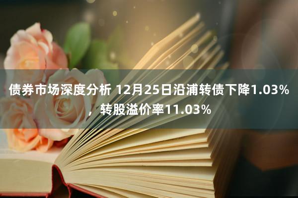 债券市场深度分析 12月25日沿浦转债下降1.03%，转股溢价率11.03%