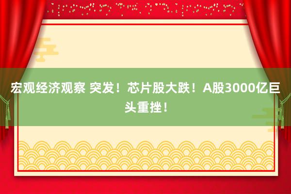 宏观经济观察 突发！芯片股大跌！A股3000亿巨头重挫！