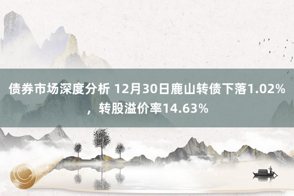 债券市场深度分析 12月30日鹿山转债下落1.02%，转股溢价率14.63%