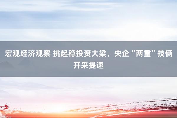 宏观经济观察 挑起稳投资大梁，央企“两重”技俩开采提速