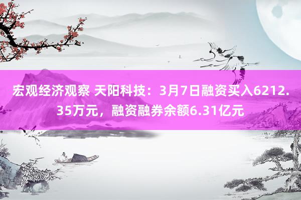 宏观经济观察 天阳科技：3月7日融资买入6212.35万元，融资融券余额6.31亿元