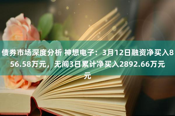 债券市场深度分析 神想电子：3月12日融资净买入856.58万元，无间3日累计净买入2892.66万元