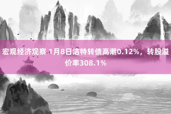 宏观经济观察 1月8日洁特转债高潮0.12%，转股溢价率308.1%